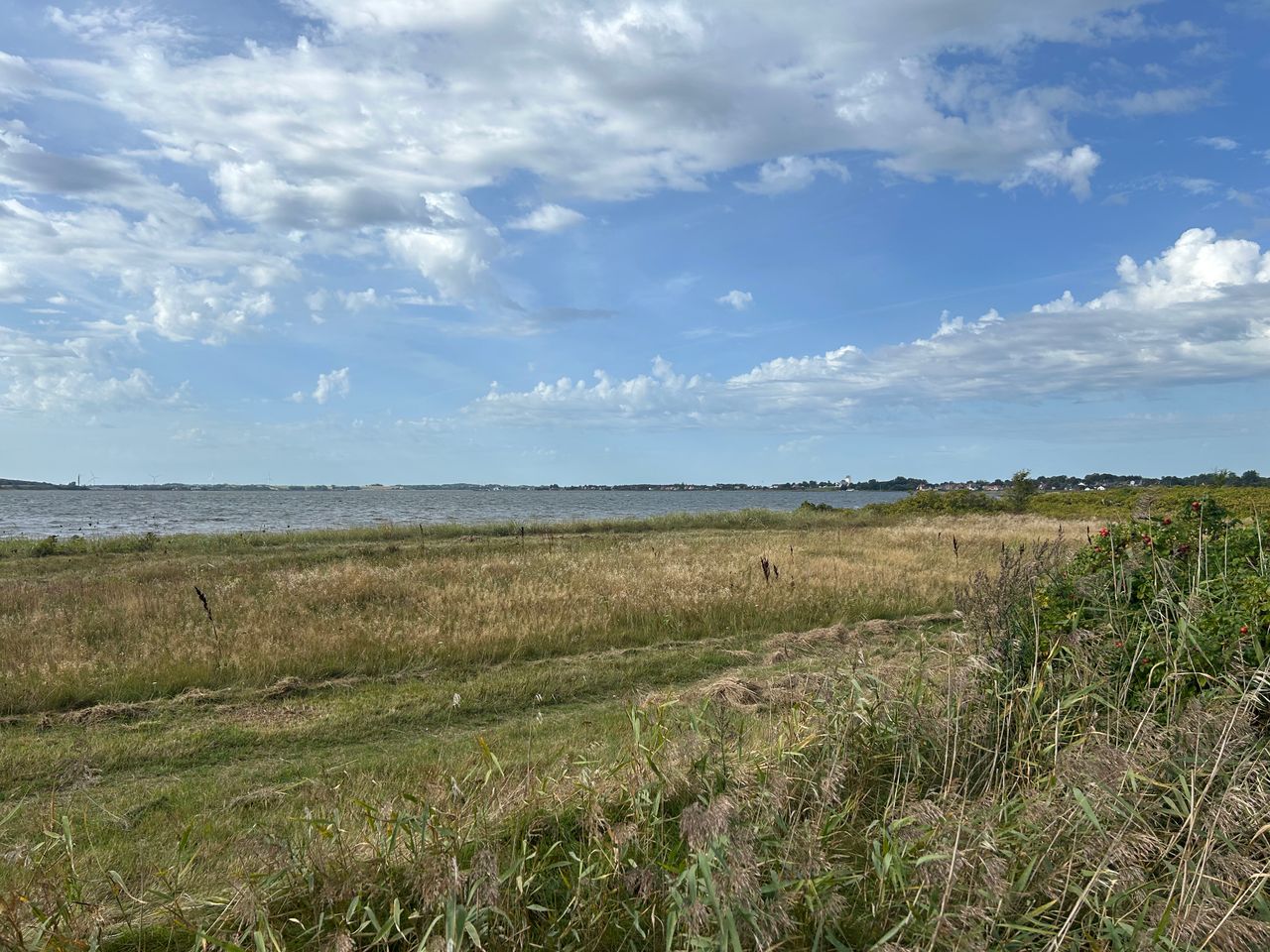 image 03