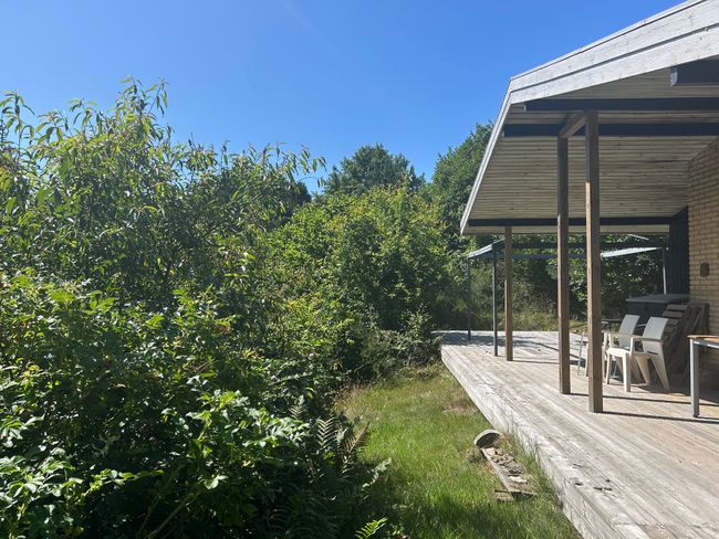 Skovtved 7, Ulsted, 7884 Fur