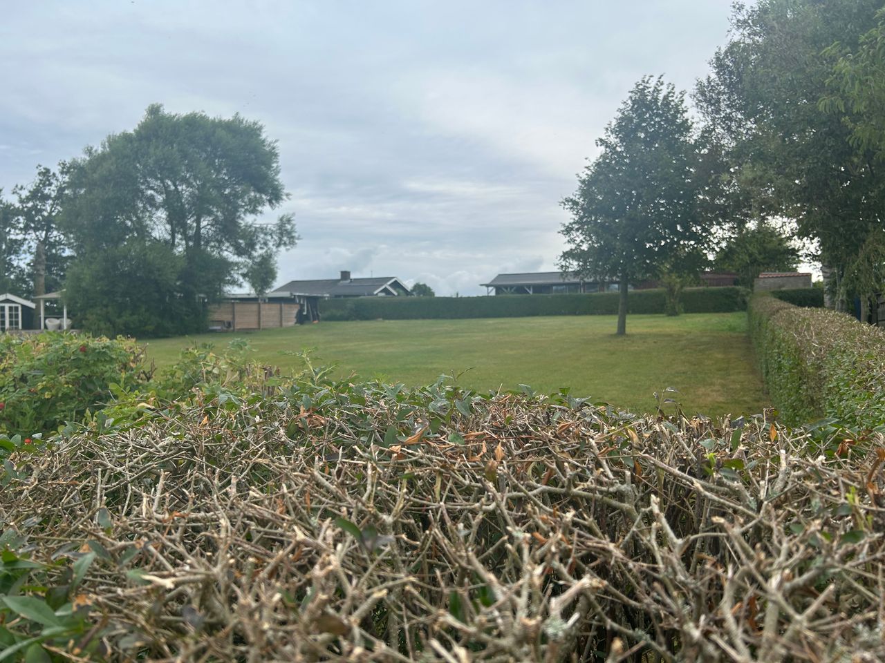 image 03